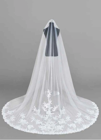 Wocenet Charity Veil