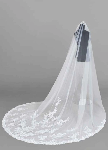 Wocenet Charity Veil
