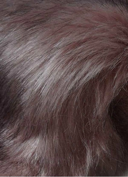Wocenet Sincerity Faux Fur Wrap