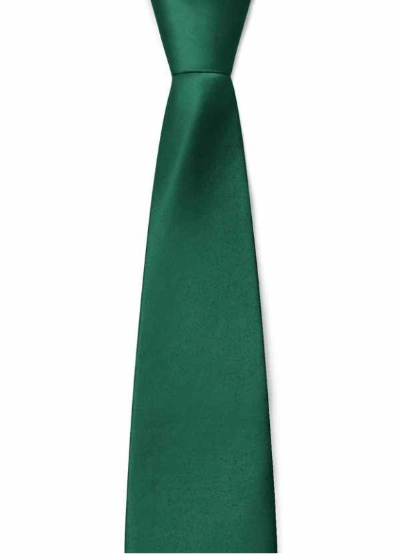 Gentlemen's Collection Boy's Matte Satin Neck Tie