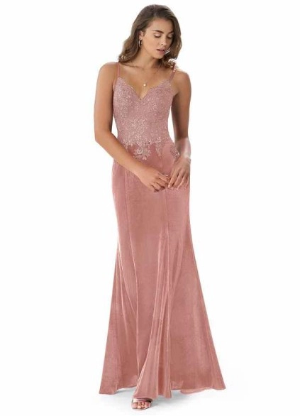 Wocenet Sasha Velvet Dress