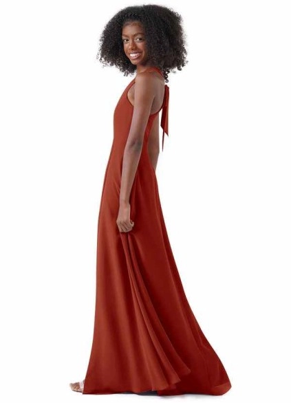Wocenet Bellatrix JBD