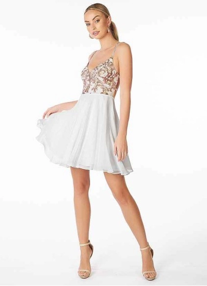 AZ Occasions Mini Embroidered Lace and Chiffon Skirt Dress